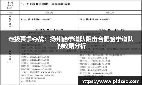 选拔赛争夺战：扬州跆拳道队阻击合肥跆拳道队的数据分析